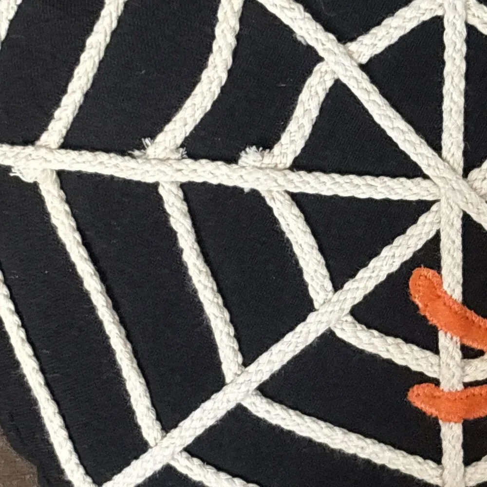 Pier 1 Spider & Web Round Pillow